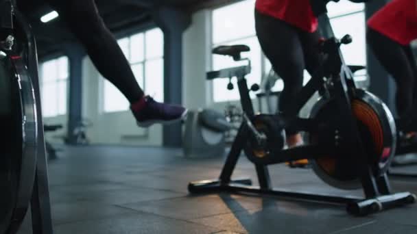 Close-up legs of group unrecognizable friends at gym exercising on stationary bike at class in gym — Video Stock