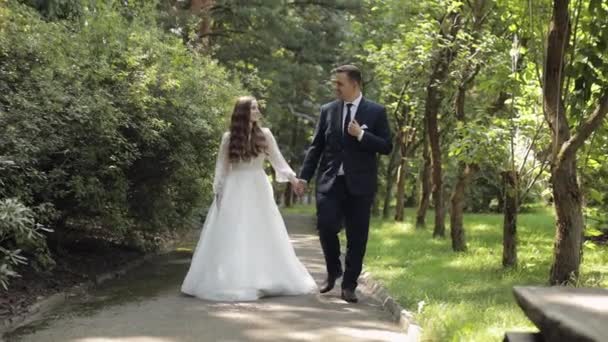 Jolies jeunes mariés marié caucasien marié marchant dans le parc, se tenant la main, couple de mariage famille — Video