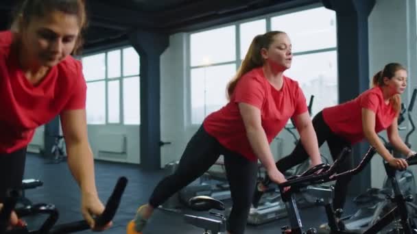 Groupe de filles effectue entraînement aérobie entraînement cardio routine sur simulateurs de vélo, cycle d'entraînement — Video