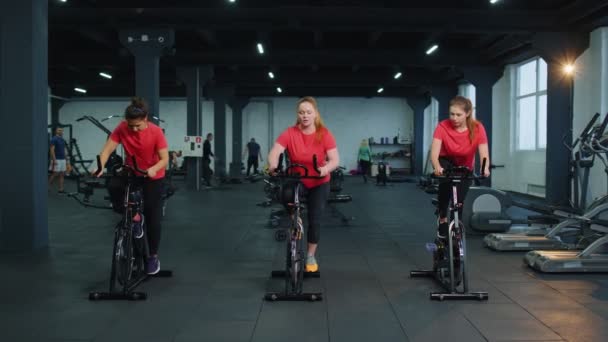 Grupo de mujeres atléticas montando en bicicleta estacionaria de spinning rutina de entrenamiento en el gimnasio, pérdida de peso en interiores — Vídeos de Stock