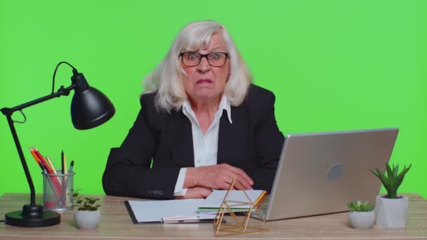 Üst düzey yaşlı ofis işkadını dizüstü bilgisayarda çalışıyor. — Stok video