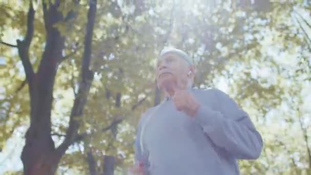 Starszy sportowiec mężczyzna dziadek działa jogging w słonecznym parku podczas porannego treningu cardio na świeżym powietrzu — Wideo stockowe