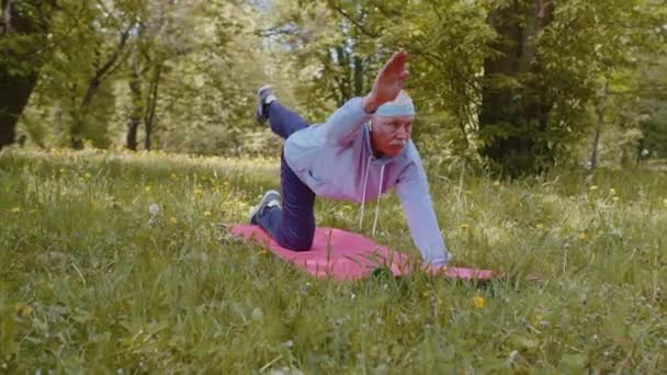 Buon nonno anziano che si esercita, fa esercizio di yoga, pratica di allenamento sportivo al parco — Video Stock