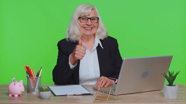 Senior Old Business Woman Employee Using Laptop Computer Notebook Raises — Stock Photo, Image