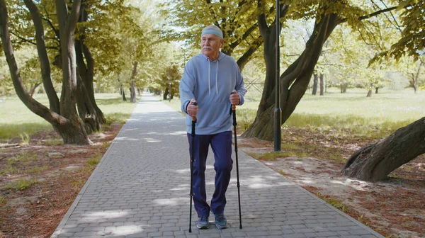 活跃的80多岁老人是高加索人的祖父 他训练北欧人在自然夏季公园里与滑雪远足杆站在一起 徒步旅行的业余爱好 退休老年人健康的生活方式 — 图库照片