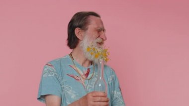 Drunk senior man after party drinks vodka beverage from bottle, celebrating victory win. Alcohol dependence addiction problem, crisis. Elderly grandfather isolated alone on pink studio wall background