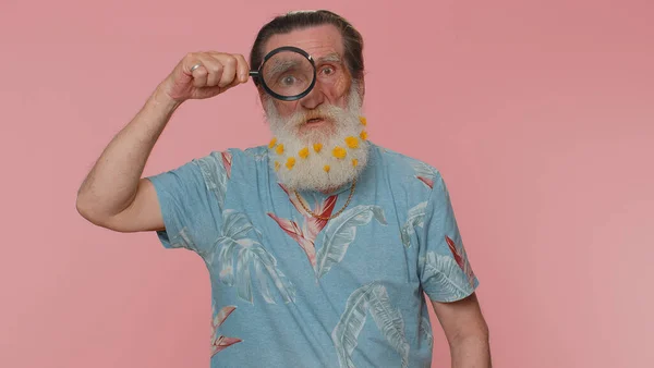 Investigator researcher scientist senior man with flowers in beard holding magnifying glass near face, looking into camera with big zoomed funny eye, searching, analysing. Elderly grandfather indoors
