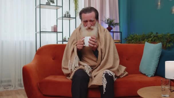 Sick Senior Grandfather Man Wrapped Plaid Shivering Cold Sofa Drinking — Stock Video