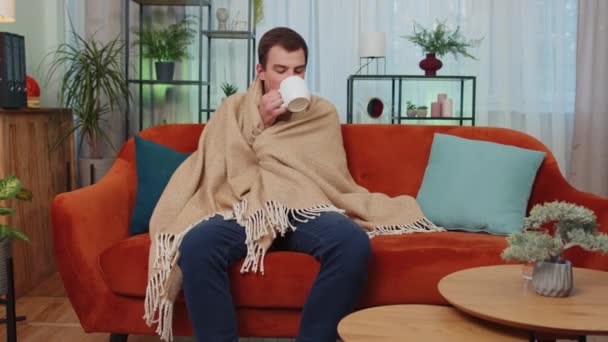 Estudiante Enfermo Envuelto Cuadros Temblando Frío Sofá Bebiendo Caliente Habitación — Vídeos de Stock