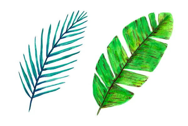 Handritade Akvarell Palmblad Isolerade Vit Bakgrund Ljusgrönt Ljusblått Datum Och — Stockfoto