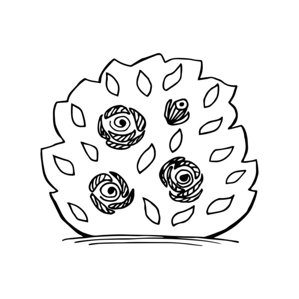 Ilustración Vectorial Simple Dibujada Mano Contorno Negro Arbusto Flores Rosas — Vector de stock