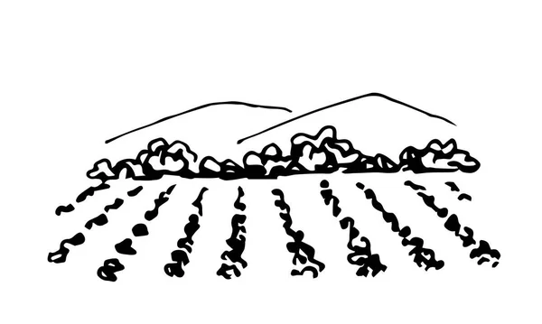 Schizzo Inchiostro Vettoriale Disegnato Mano Campi Agricoli Montagne All Orizzonte — Vettoriale Stock