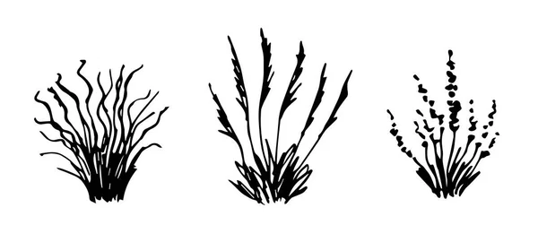 Απλό Διανυσματικό Μαύρο Περίγραμμα Έρημος Στέπα Φυτά Φτερό Γρασίδι Θάμνοι — Διανυσματικό Αρχείο