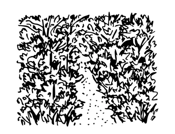 Hand Drawn Black White Vector Doodle Drawing Overgrown Forest Path — Vettoriale Stock