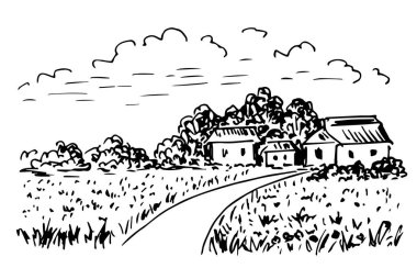 Simple black and white vector ink sketch. Village, road to the house, field, grass, trees on the horizon, clouds in the sky. Rural landscape, countryside nature. Hand-drawn drawing in engraving style.