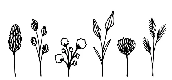 Dibujo Vectorial Dibujado Mano Simple Contorno Negro Conjunto Flores Secas — Vector de stock