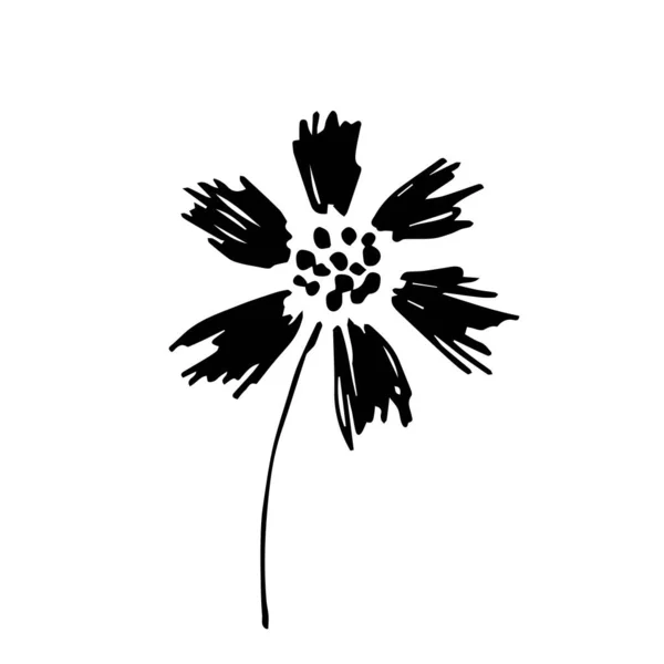 Basit Bir Çizimi Vektör Siyah Beyaz Çizim Tarla Çiçeği Çayır — Stok Vektör