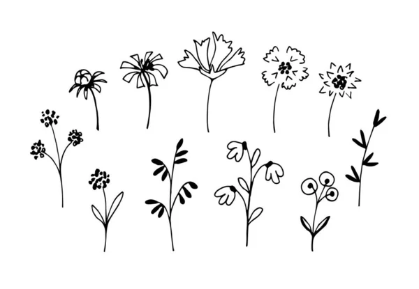 Απλό Διανυσματικό Ελεύθερο Μαύρο Περίγραμμα Σύνολο Λεπτά Λουλούδια Κλαδιά Φύλλα — Διανυσματικό Αρχείο