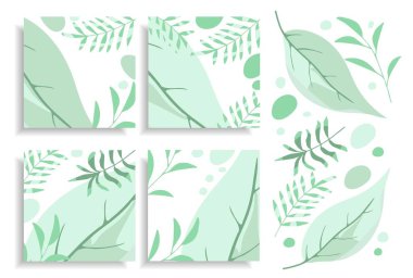 Organik ürün dekorasyonu için basit, nazik, sakin vektör kümesi. Gönderiler, sosyal medya, kartlar için şablonlar. Soyut yapraklar, açık gri-yeşil renkli dallar.