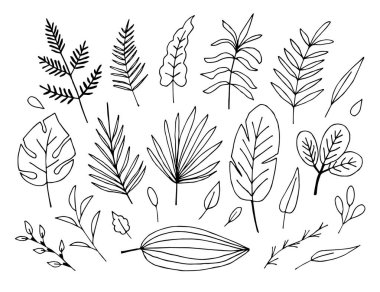 Siyah çizgili basit bir el çizimi çiçek vektörü. Tropik bitki seti, palmiye yaprakları, dal, dal, yaprak. Bir düzen ve dekor yaratmak için elementler. Egzotik doğa, orman, orman.