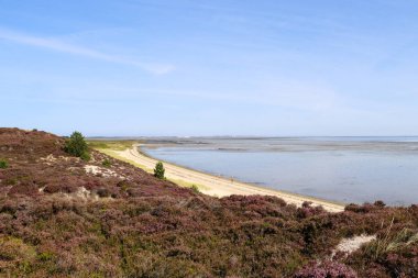 Burası Alman Adası 'nın güzel bir yeri Sylt.