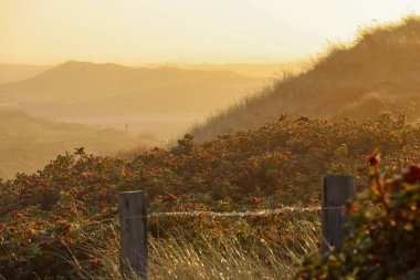 Tinnum, Sylt Almanya 'da güzel bir gün doğumu