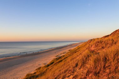 Sylt 'de güzel bir kumul manzarası var.