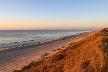 Sylt 'de güzel bir kumul manzarası var.