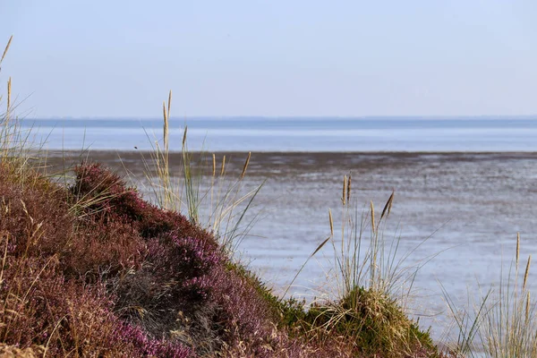 Burası Alman Adası 'nın güzel bir yeri Sylt.
