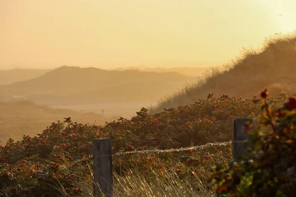 Tinnum, Sylt Almanya 'da güzel bir gün doğumu