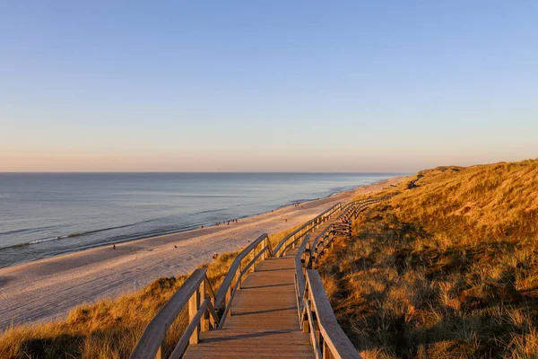 Sylt 'deki kumulların arasından güzel bir yol