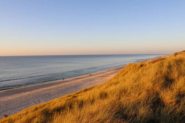 Sylt 'de güzel bir kumul manzarası var.