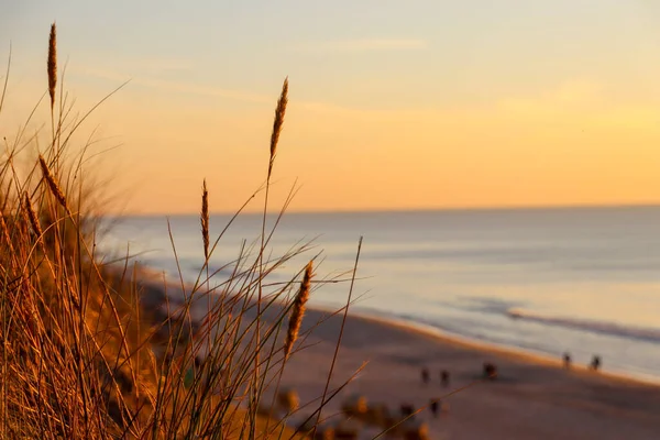 Ada 'da gün batımı Sylt, altın saat