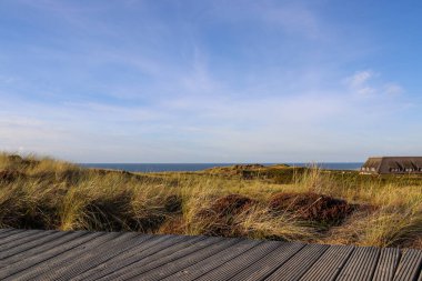 Almanya 'daki Sylt' in güzel manzaraları