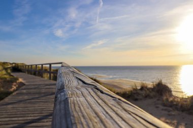 Almanya 'daki Sylt' in güzel manzaraları