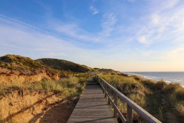 Almanya 'daki Sylt' in güzel manzaraları
