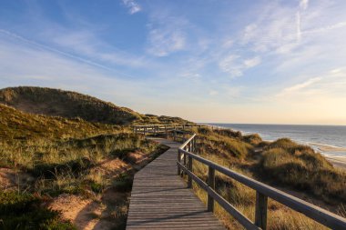 Almanya 'daki Sylt' in güzel manzaraları