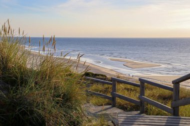Almanya 'daki Sylt' in güzel manzaraları