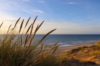 Almanya 'daki Sylt' in güzel manzaraları