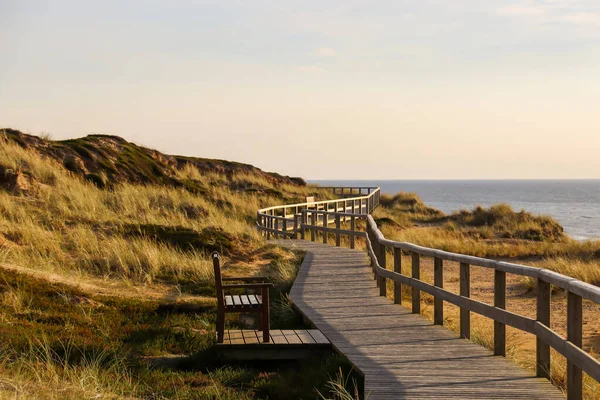 Krásné Krajiny Sylt Německu — Stock fotografie