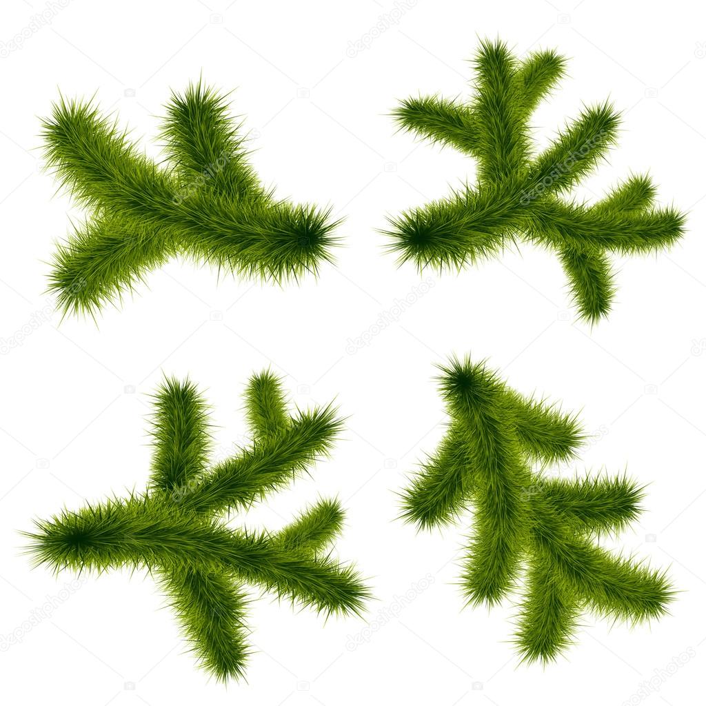 Download Set vector Christmas tree branch for decorate . — Stock ...