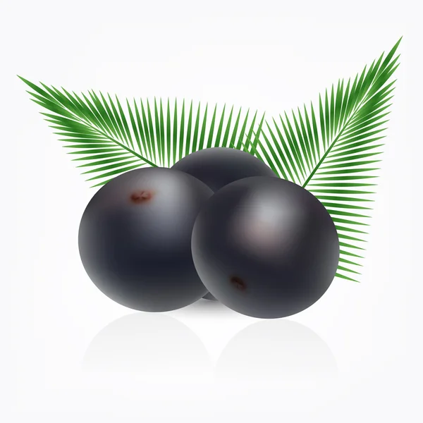 Featured image of post The Best 20 Plano De Fundo Logo Açai Png