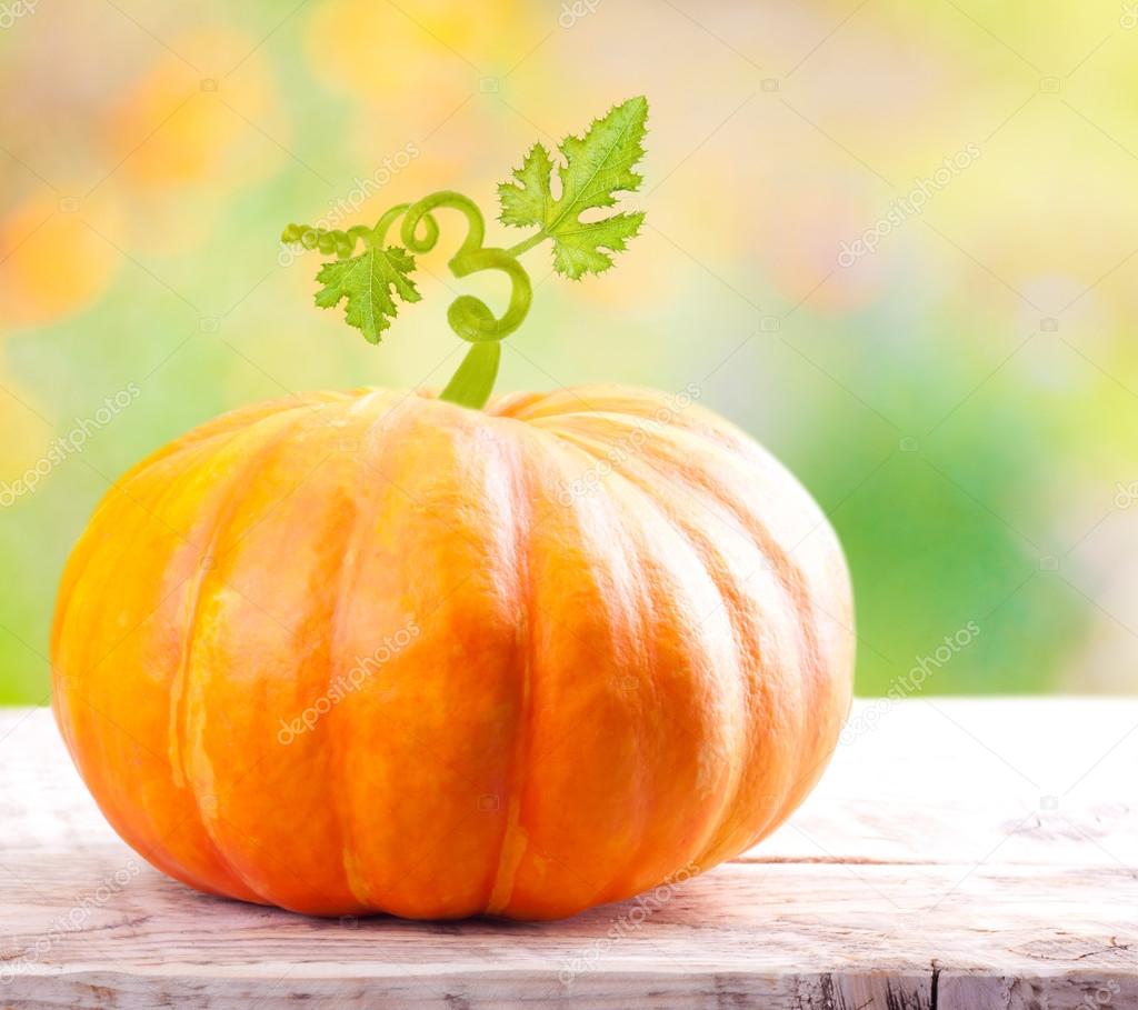 Pumpkin vegetable — Stock Photo © valentinar 33620685
