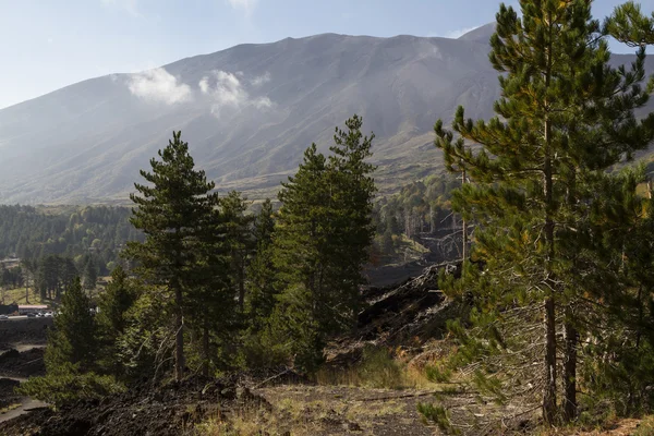 Noord kant etna — Stockfoto