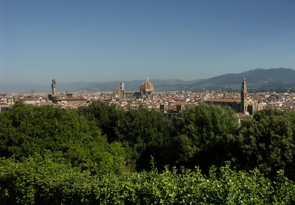 Florence panoramic view — Stock Photo, Image