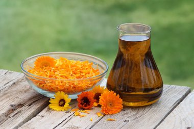 Calendula çiçek ve petrol