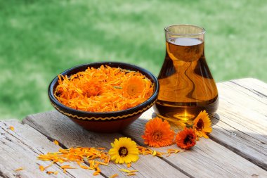 Calendula çiçek ve petrol