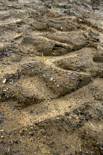 Pisada de sendero en la arena — Foto de Stock