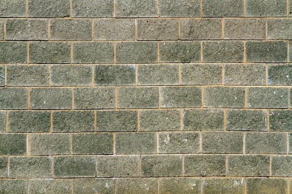 Wall of gray-green bricks — Stock Photo, Image