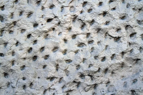 Iri gözenekli çimento duvar — Stok fotoğraf